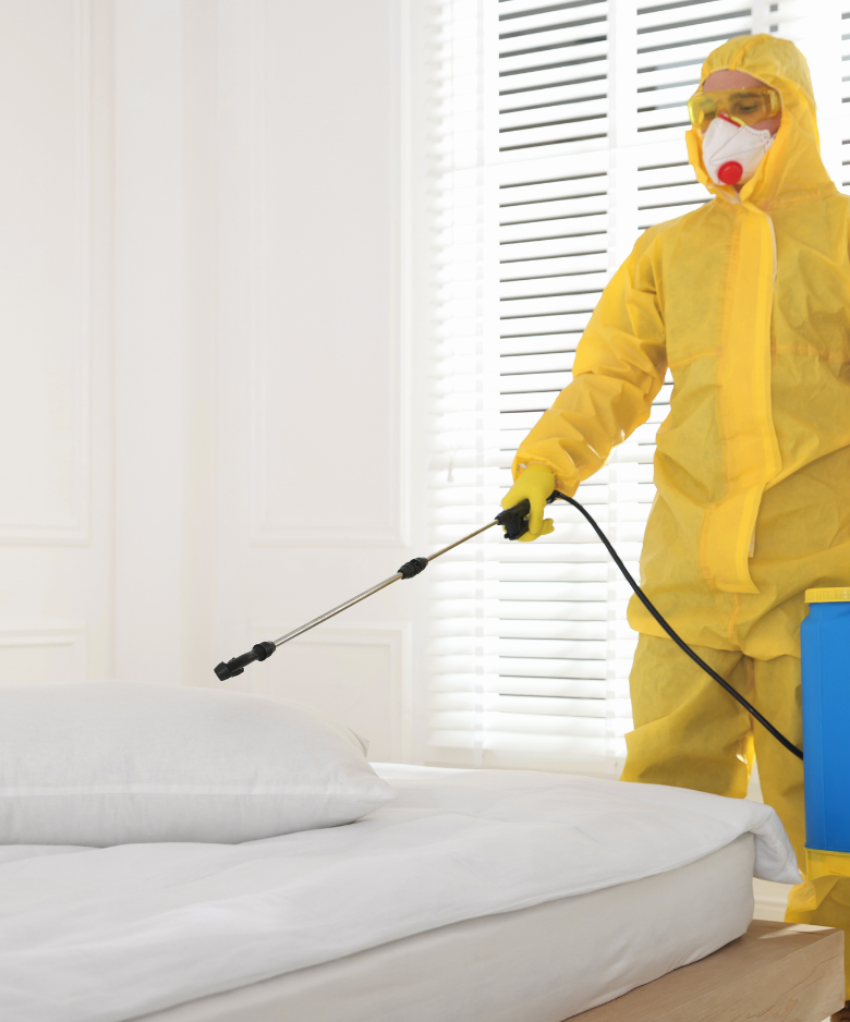 Professional Pest Control Team in North Brighton